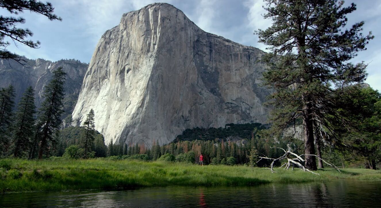 Movie Review – Free Solo